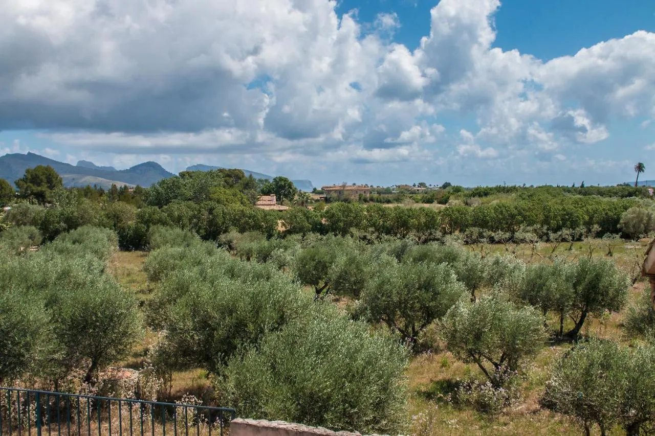 Villa Les Oliveres Port de Pollenca